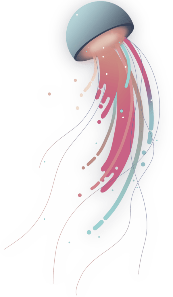 Picture Of A Jellyfish Picture Of A Jellyfish