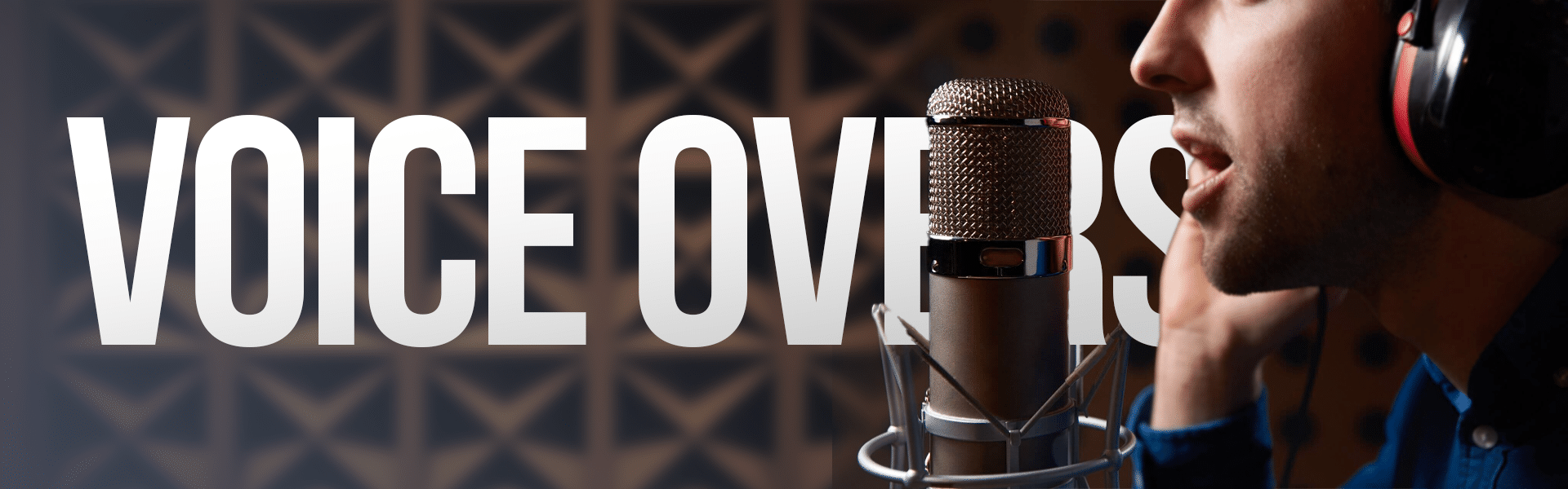 Dragonfly Voiceover Artist Booking Service Dragonfly Voiceover Artist Booking Service