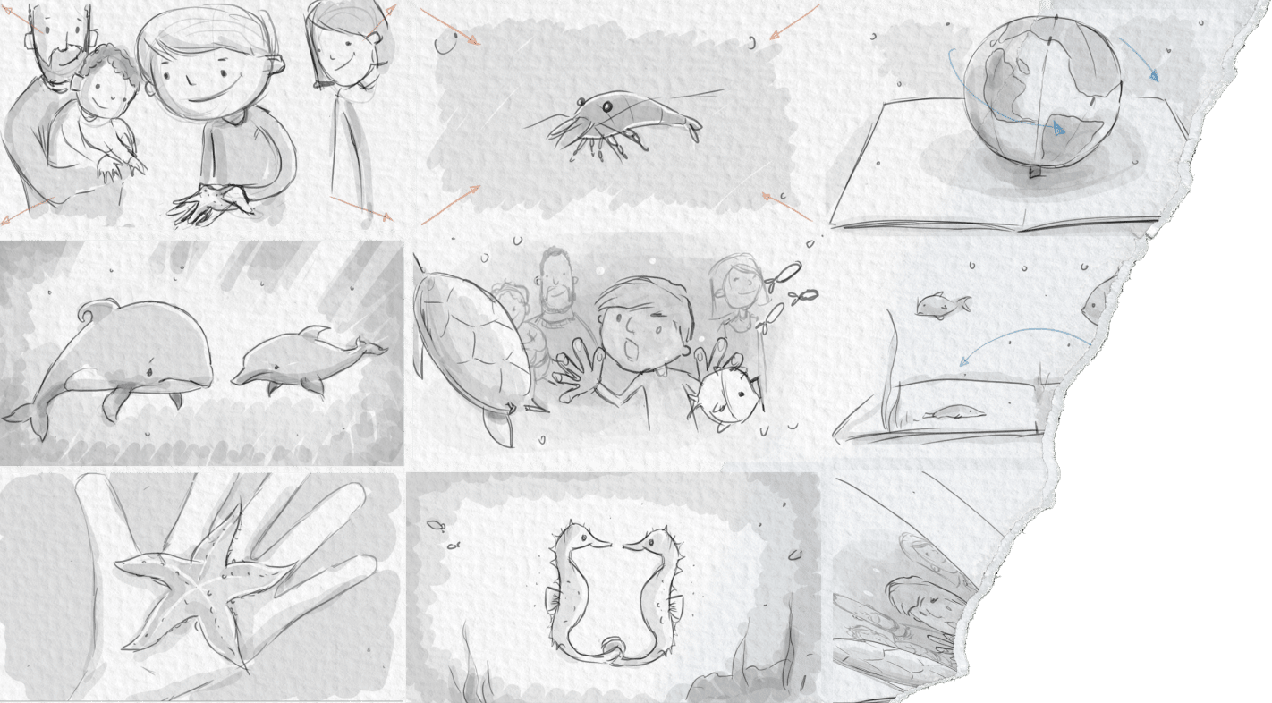 Storyboard Of The Sealife Promotional Video Storyboard of the SeaLife promotional video