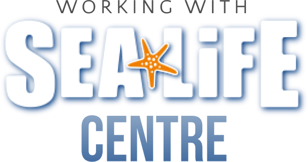Working With The Sealife Centre Working with the Sealife Centre