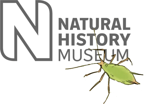 Natural History Museum Logo With Insect Natural History Museum Logo with insect