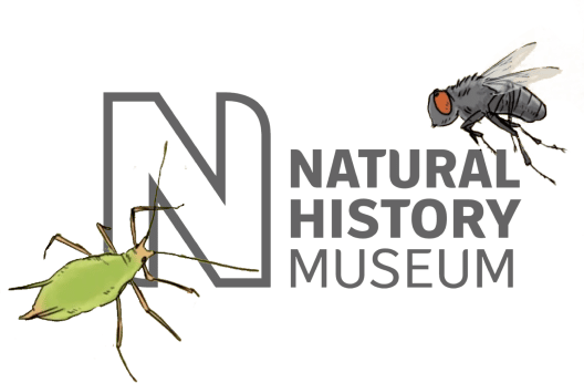Incests Crawling On The Natural History Museum Logo Incests crawling on the Natural History Museum Logo