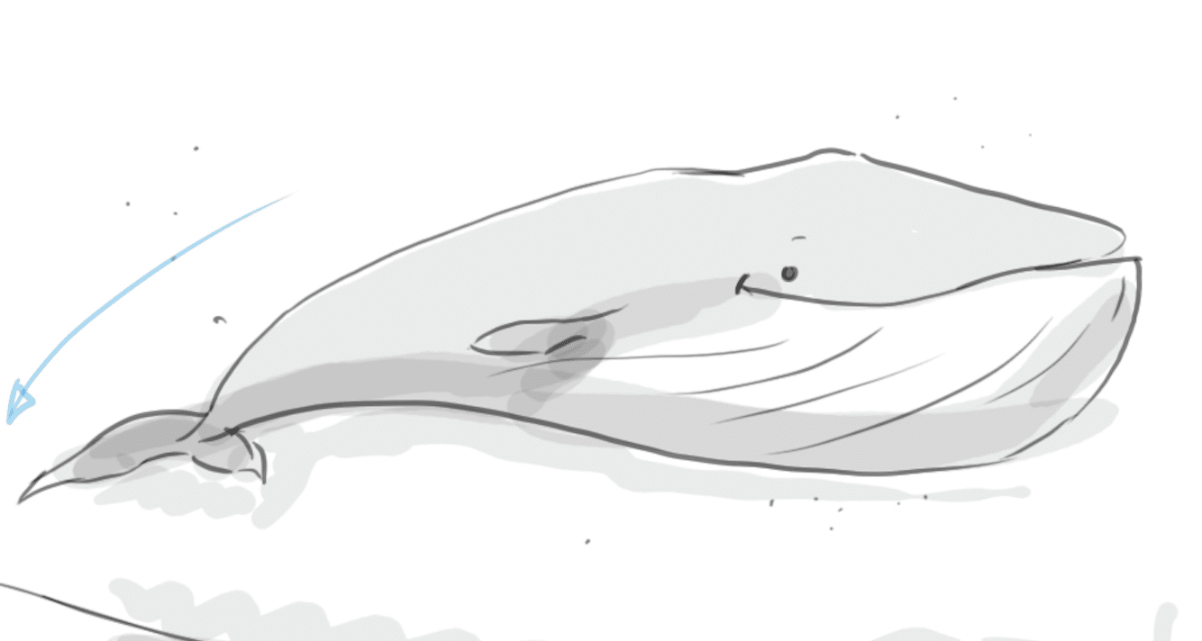 Sealife Hand-Drawn Animated Whale Sealife hand-drawn animated whale