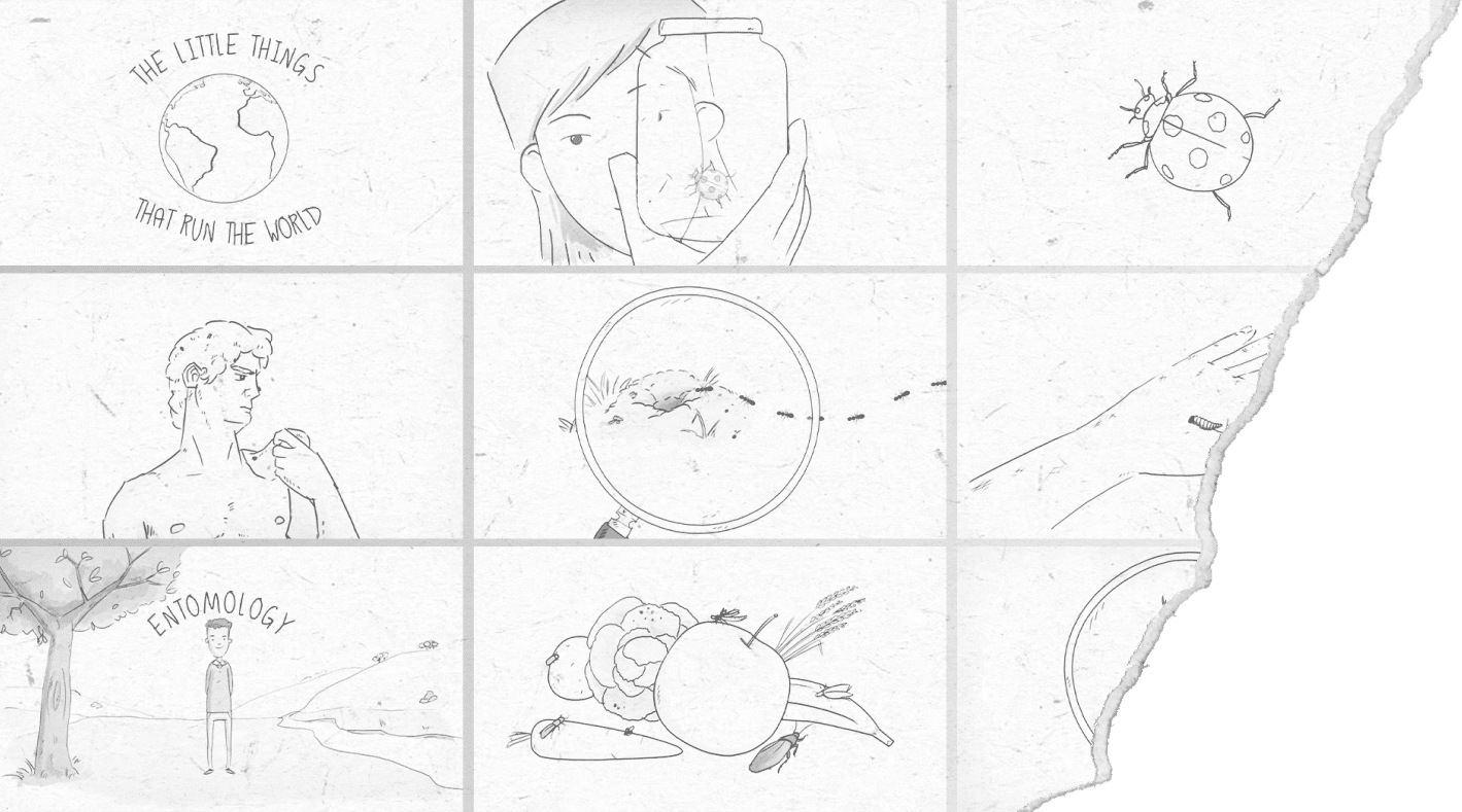 Storyboard Development For The Natural History Museum Promotional Video Produced By Dragonfly Storyboard development for the Natural History Museum promotional video produced by Dragonfly