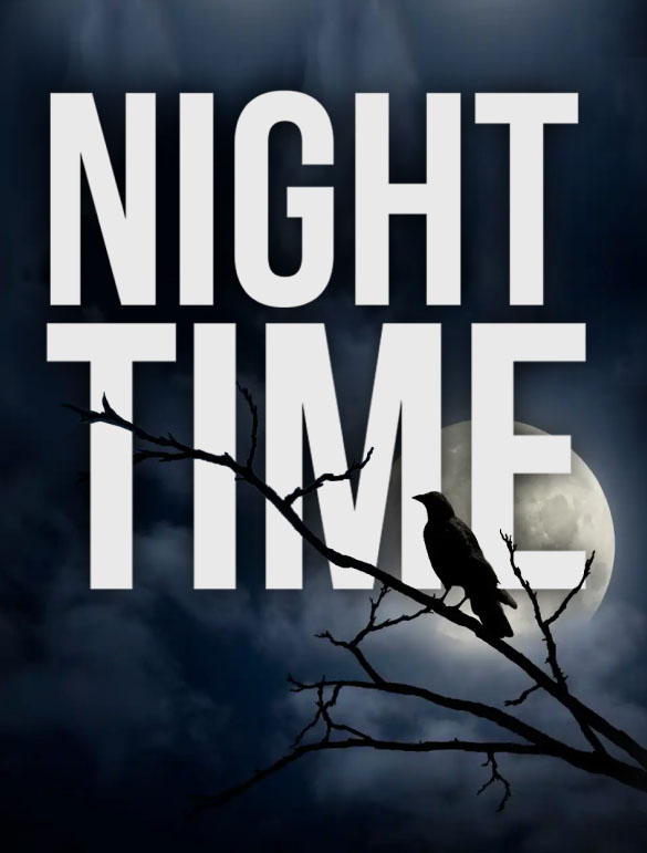 A silhouette of a bird perched on a branch against a cloudy night sky, with the full moon in the background. The words "NIGHT TIME" are prominently displayed in bold, white letters above the scene, reminiscent of a high-quality video production service's attention to detail.