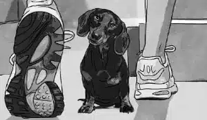 A black and white image shows a small dog sitting between the legs of two people wearing sneakers. The dog is looking up with its head tilted. One person's leg, on the right, is fully visible, while only the back of the other person's sneaker is visible on the left—perfect for an emotional video advertising campaign.