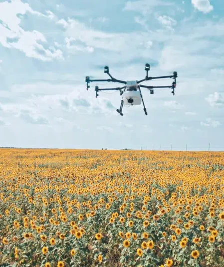 A drone, acquired from the latest video production resources, flies over a vast field of blooming sunflowers under a partly cloudy sky. The drone, with multiple rotors, is centered in the image above the sea of bright yellow flowers that stretch to the horizon.